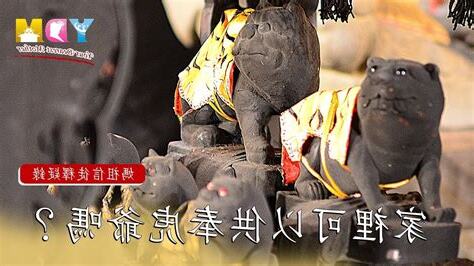 家裡可以放虎爺嗎