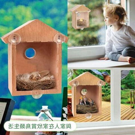窗戶有鳥巢