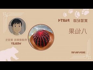 八仙果禁忌