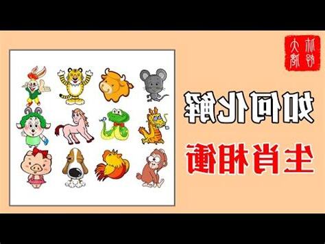 沖生肖會怎樣