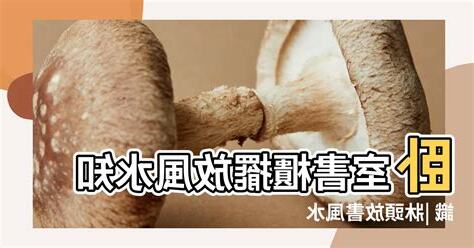 牀頭放書
