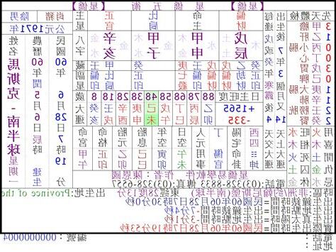 南半球八字排盘