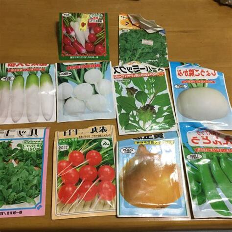 時種