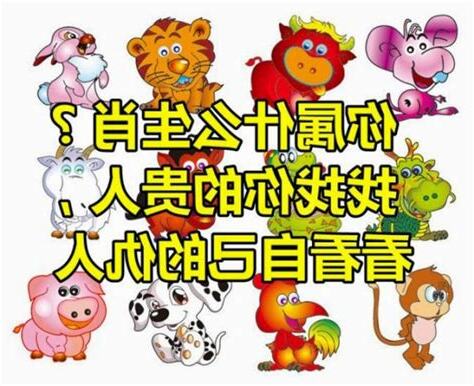 你屬什麼