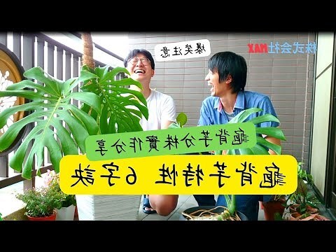龜被玉