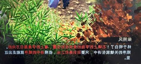 八卦陣走法
