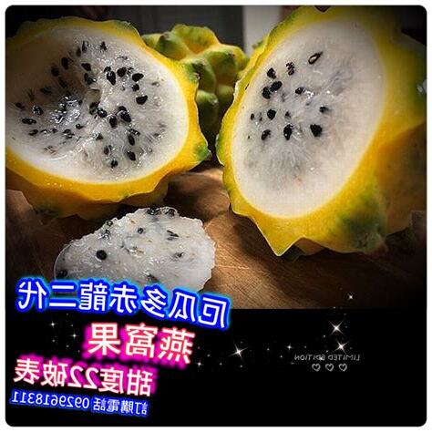 火龍果刺