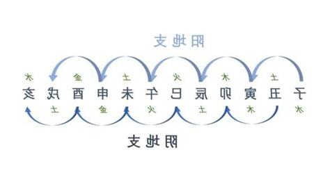 12地支屬性