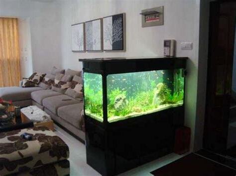 魚缸放屋外
