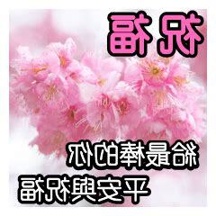 考試順利長輩圖