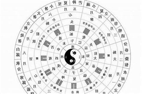 1994年五行属什么