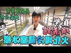 火化陪葬品