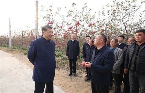 陕西富平习近平