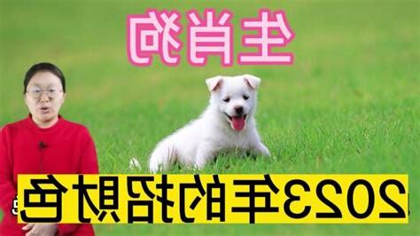 1970屬狗幸運色