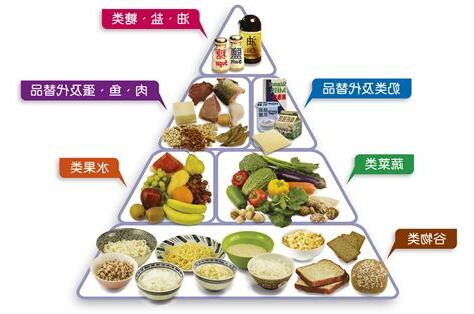 食物金