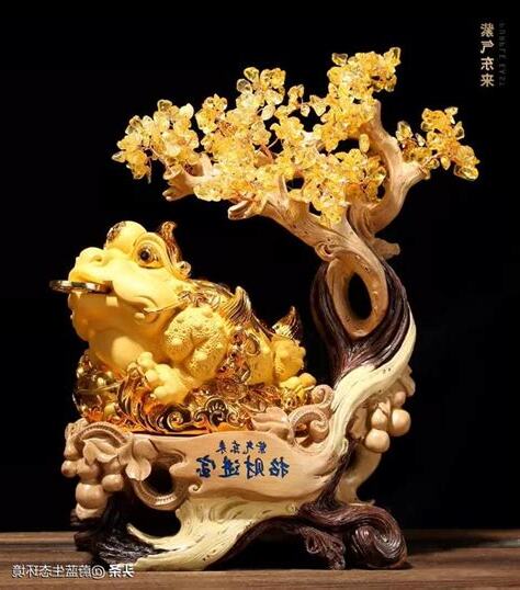 金蟾擺放