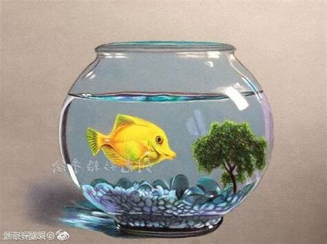 畫魚缸