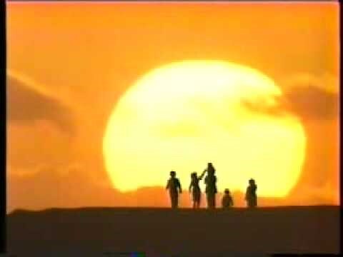 1981什麼年