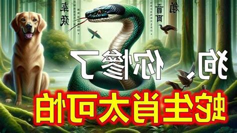 屬蛇的個性