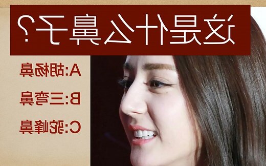 鼻子面相图解