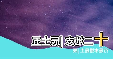 辰屬土