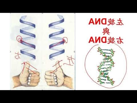左旋右旋判斷