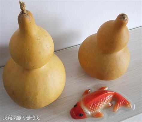葫蘆擺放