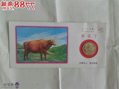 1997是什麼生肖