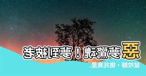 夢到被老鼠咬腳