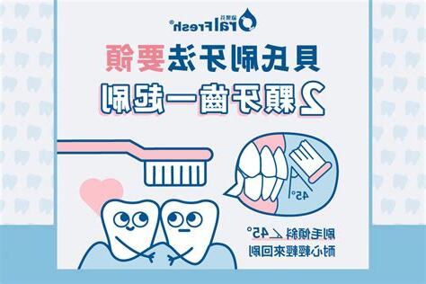 牙齒面向