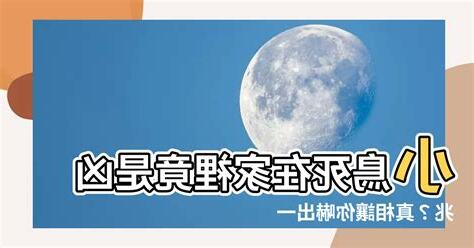 小鳥死在家裡