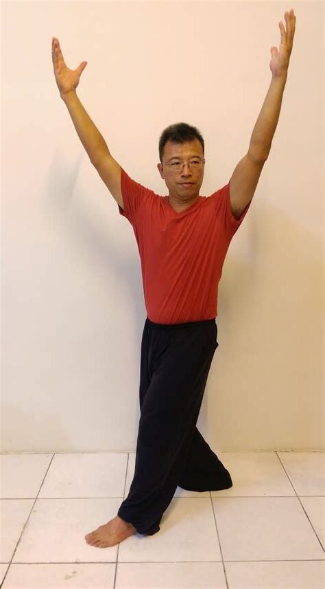 八母掌