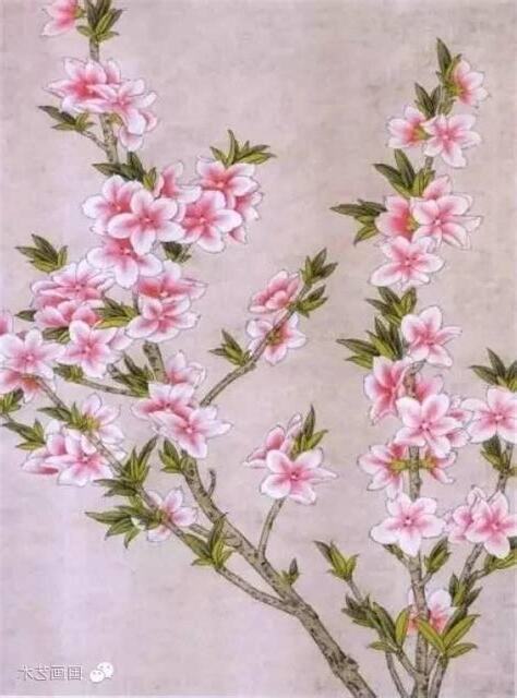 桃花畫法