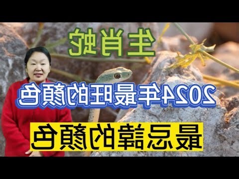 屬蛇忌顏色