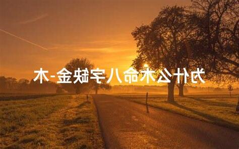 木命缺金