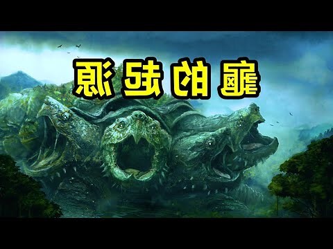 龍龟