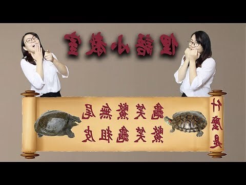 黑龜頭