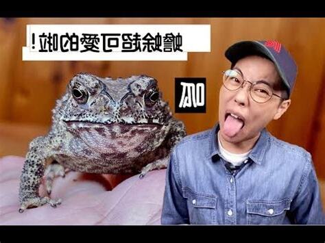 看到蟾蜍