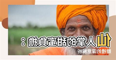 送仙人掌的意義