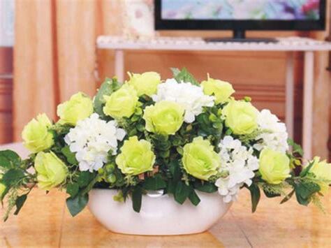 房間可以放什麼花