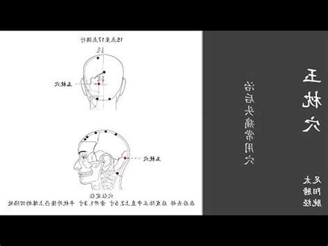 後腦穴道玉枕