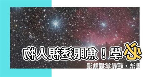 魚眼透視人物