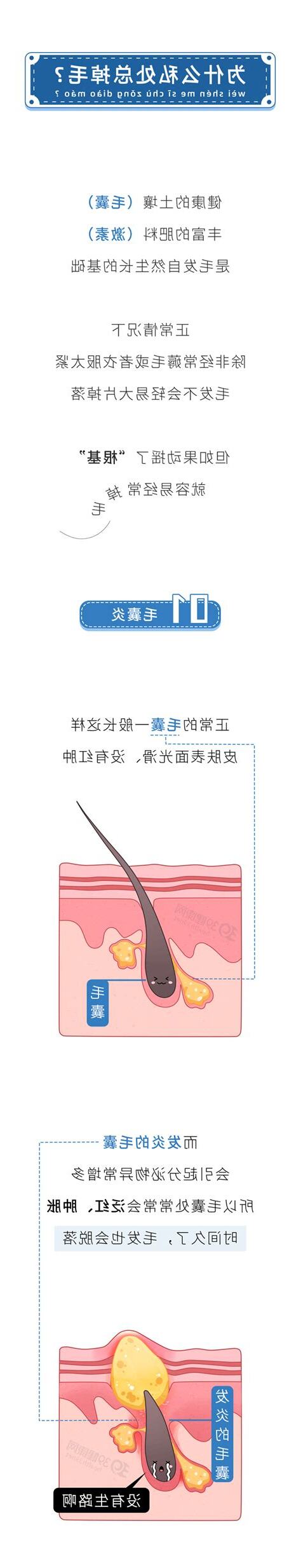 下面的毛怎麼修