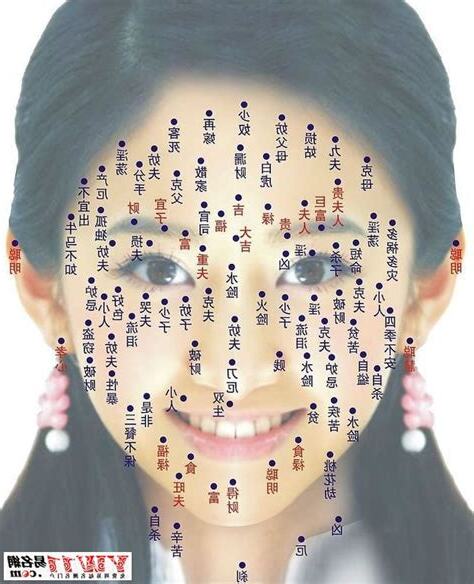 鼻中有痣