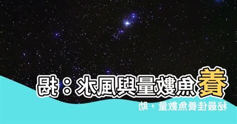 養魚數量