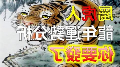 屬虎的幸運色