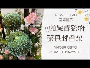 白色的花有什麼