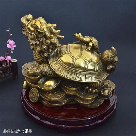 龍龜是什麼