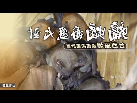 公司喬遷