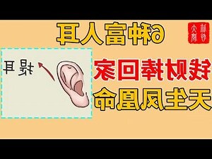 雙耳貼腦女